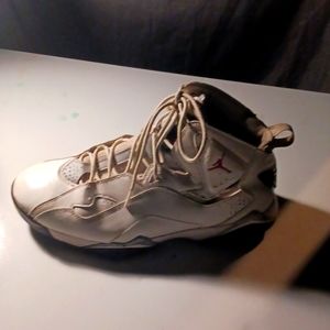 Jordan true flight white cement